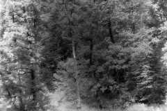 NaheIR-Druck